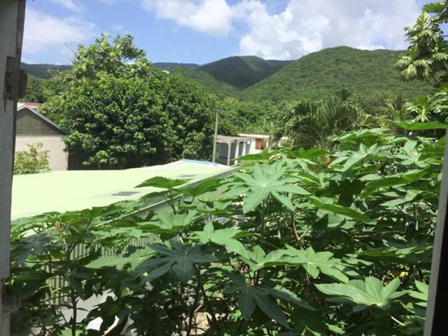 Habitation Baliache - Maison Creole Avec Jardin Privatif, Plage A 200M Deshaies Exterior foto